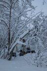 A U.S. Marine with Marine Rotational Force-Europe 20.1, Marine Forces Europe and Africa, provides security during exercise Snow Panzer in Setermoen, Norway, Feb. 25, 2020. This exercise was used as preparation for Exercise Cold Response during which multiple NATO allies and partners will be participating. MRF-E focuses on regional engagements throughout Europe by conducting various exercises, arctic cold-weather and mountain-warfare training, and military-to-military engagements, which enhance overall interoperability of the U.S. Marine Corps with allies and partners. (U.S. Marine Corps photo by Lance Cpl. Nathaniel Q. Hamilton)