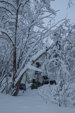 A U.S. Marine with Marine Rotational Force-Europe 20.1, Marine Forces Europe and Africa, provides security during exercise Snow Panzer in Setermoen, Norway, Feb. 25, 2020. This exercise was used as preparation for Exercise Cold Response during which multiple NATO allies and partners will be participating. MRF-E focuses on regional engagements throughout Europe by conducting various exercises, arctic cold-weather and mountain-warfare training, and military-to-military engagements, which enhance overall interoperability of the U.S. Marine Corps with allies and partners. (U.S. Marine Corps photo by Lance Cpl. Nathaniel Q. Hamilton)