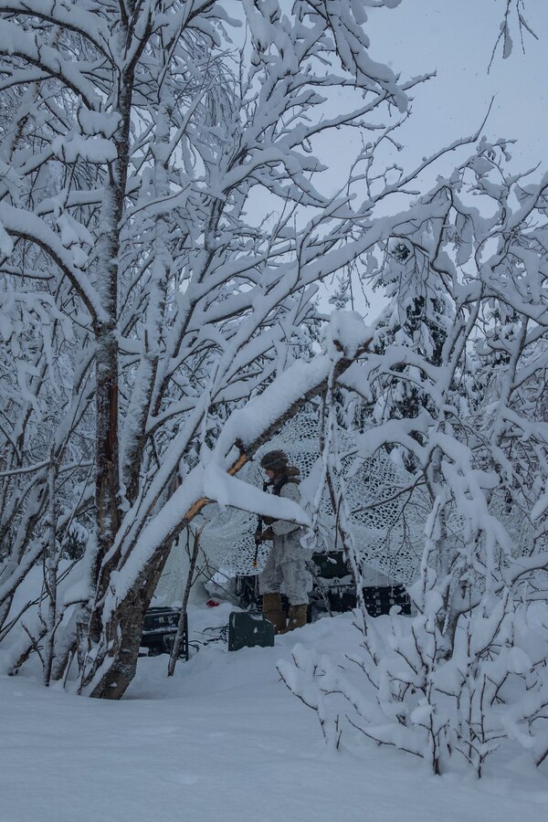 A U.S. Marine with Marine Rotational Force-Europe 20.1, Marine Forces Europe and Africa, provides security during exercise Snow Panzer in Setermoen, Norway, Feb. 25, 2020. This exercise was used as preparation for Exercise Cold Response during which multiple NATO allies and partners will be participating. MRF-E focuses on regional engagements throughout Europe by conducting various exercises, arctic cold-weather and mountain-warfare training, and military-to-military engagements, which enhance overall interoperability of the U.S. Marine Corps with allies and partners. (U.S. Marine Corps photo by Lance Cpl. Nathaniel Q. Hamilton)