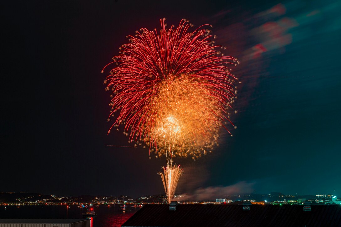 Fireworks fill a night sky over a city.