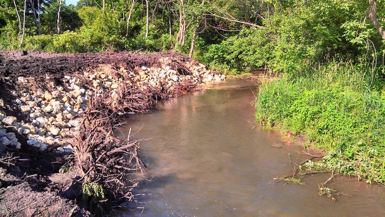 Figure 7.  Rootwad, Floodplain Plantings, and LPSTP Project Black Walnut Creek, near Byron, IL