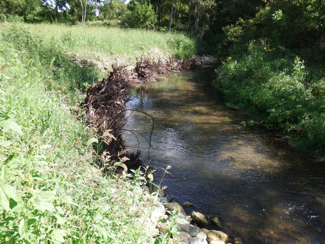 Systems Approach to Stream Bed and Bank Erosion Control Trainingu003e Engineer Research and Development Centeru003e Fact Sheet View