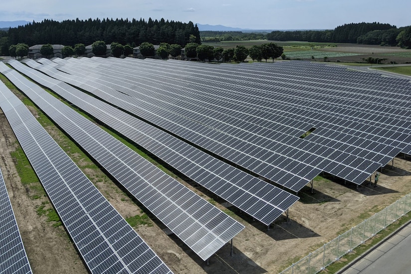 Row after row of solar panels sit next to a grove of trees.