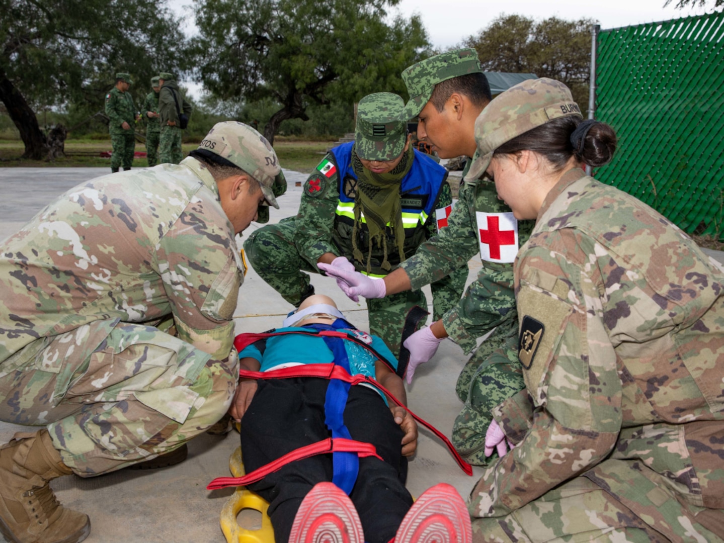 MEXICAN MILITARY food testing 