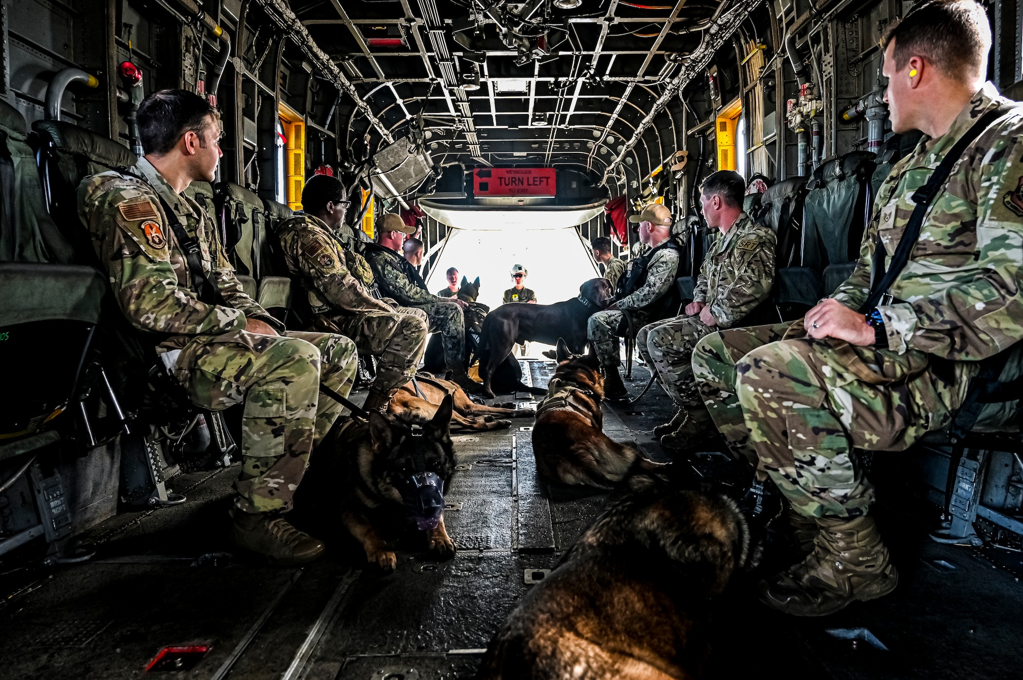 U.S. Air Force Airmen and Military Working Dogs assigned to the 87th Security Forces Squadron practice helicopter familiarization at Joint Base McGuire-Dix-Lakehurst, N.J. on Oct. 16, 2022. Defenders with 87th SFS K-9 section took part in a joint training with Marines to familiarize the Military Working Dogs with the transportation by helicopter. This skillset was developed for the qualification purposes of bomb detection in deployed environments, where certain terrain may only be accessible by air transportation.