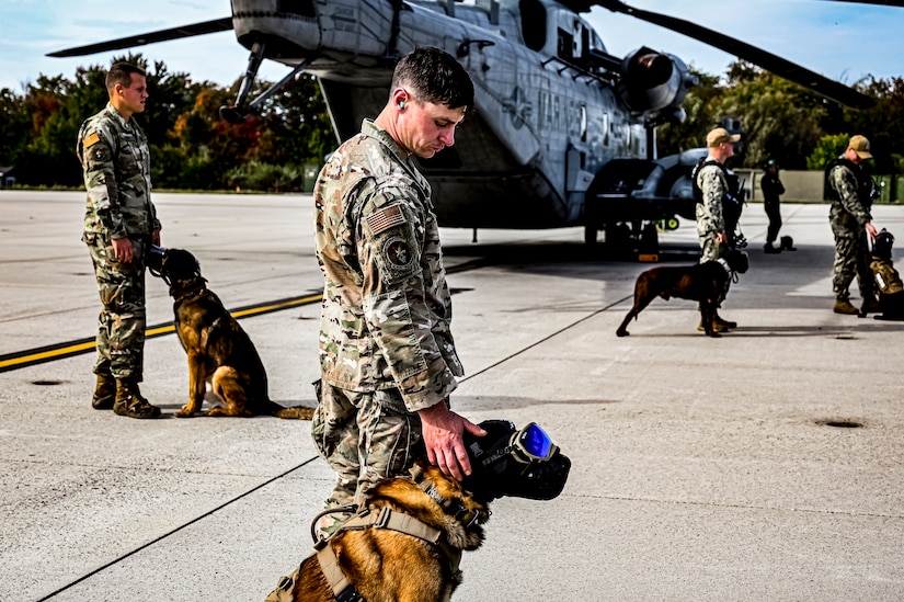U.S. Air Force Airmen and Military Working Dogs assigned to the 87th Security Forces Squadron practice helicopter familiarization at Joint Base McGuire-Dix-Lakehurst, N.J. on Oct. 16, 2022. Defenders with 87th SFS K-9 section took part in a joint training with Marines to familiarize the Military Working Dogs with the transportation by helicopter. This skillset was developed for the qualification purposes of bomb detection in deployed environments, where certain terrain may only be accessible by air transportation.