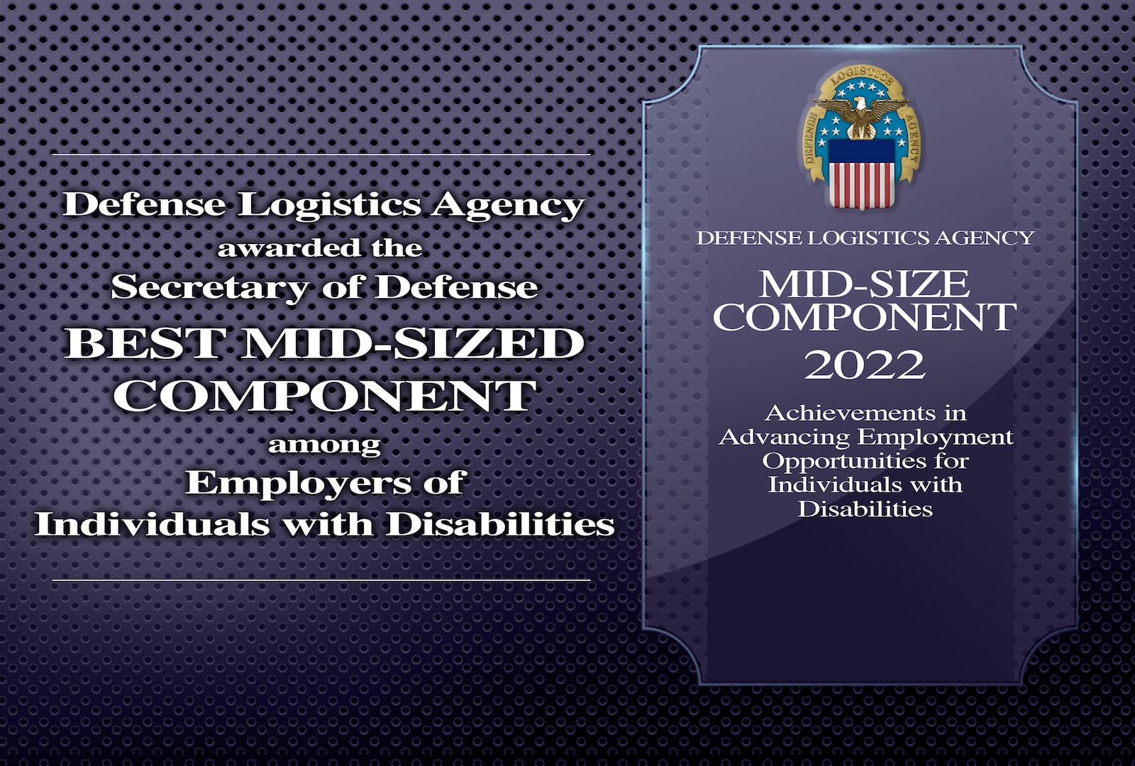 Graphic naming the Defense Logistics Agency's best mid-sized component award.