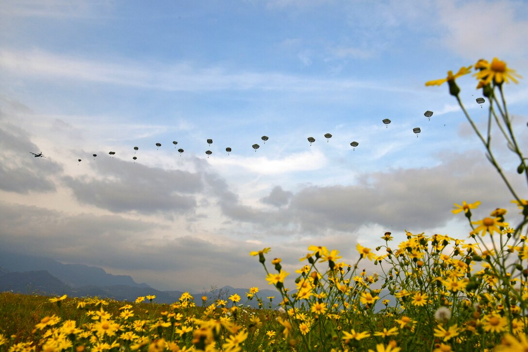 Soldiers free fall with parachutes near an aircraft above a field of flowers.