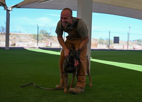 A photo of a dog handler standing with a military working dog.