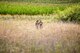 Two Airmen stand in the middle of a field.