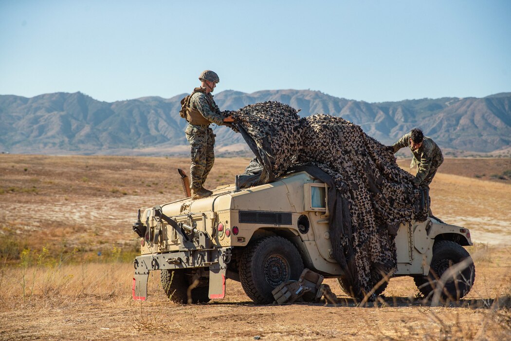 camouflage netting