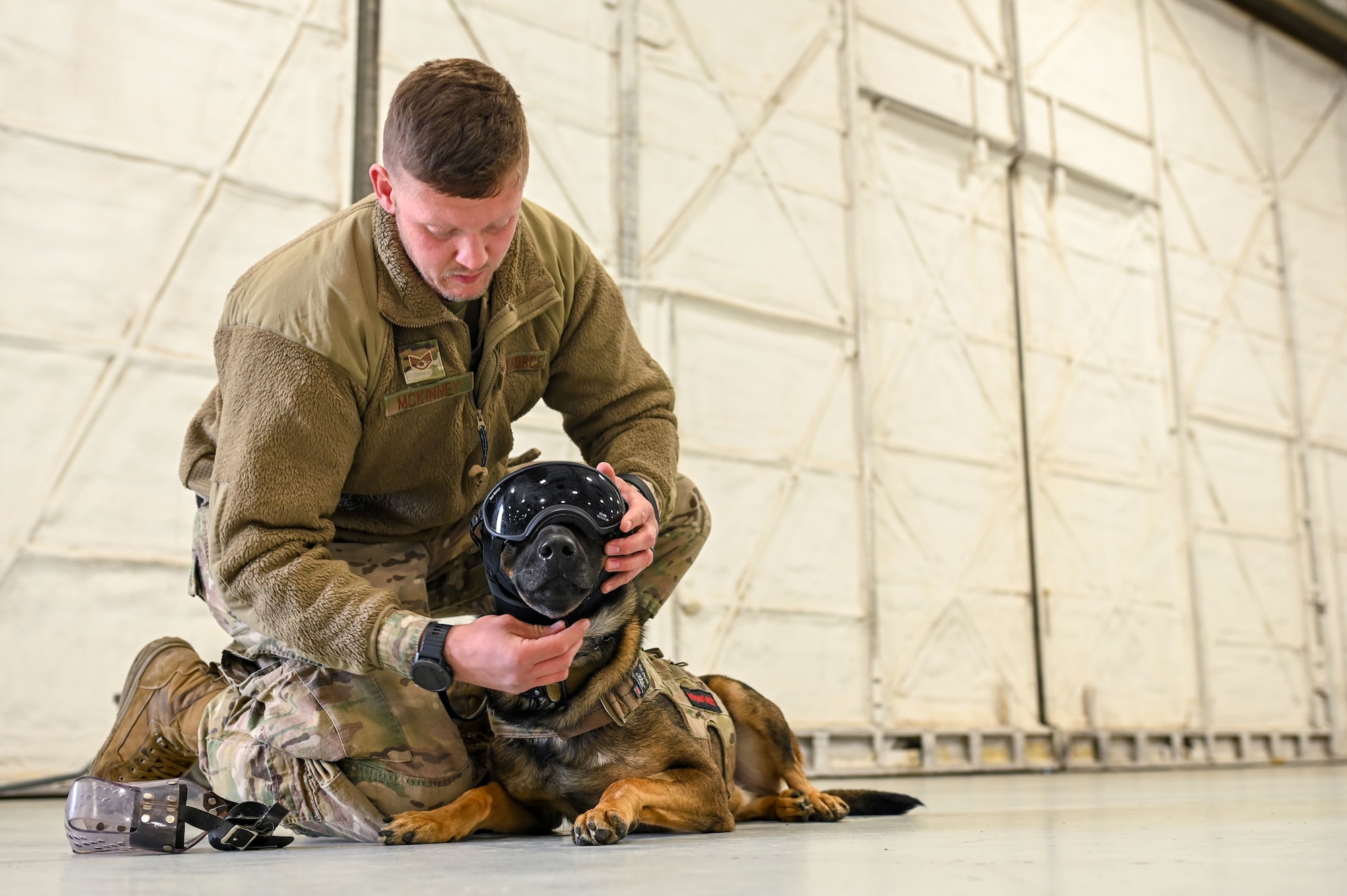 U.S. Air Force Staff Sgt. Ian McKinney, 92nd Security Forces Squadron Military Working Dog handler, prepares his dog Sipos for UH-1N Huey training at Fairchild Air Force Base, Washington, Oct. 25, 2022. MWD's complete this training to ensure they are calm and experienced to ride in a helicopter overseas or in a deployed environment. (U.S. Air Force photo by Airman 1st Class Morgan Dailey)