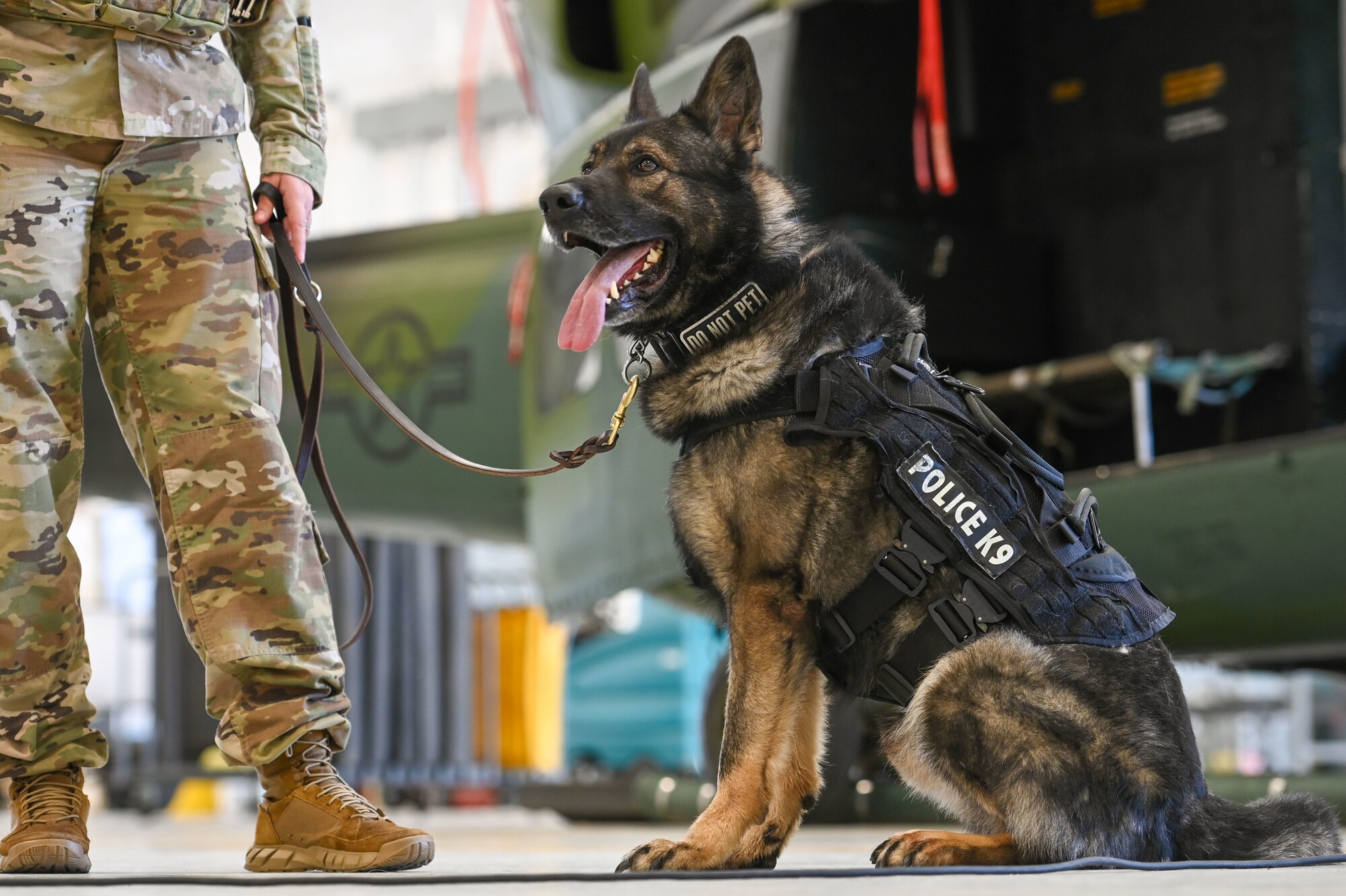 Tech. Sgt. Crystal Maldonado, 92nd Security Forces Squadron Military Working Dog handler, and her dog Leo return from UH-1N Huey training Oct. 25, 2022 at Fairchild Air Force Base, Washington. Three Military Working Dogs were trained how to properly board and ride in a helicopter to ensure safety on future missions. (U.S. Air Force photo by Airman 1st Class Morgan Dailey)