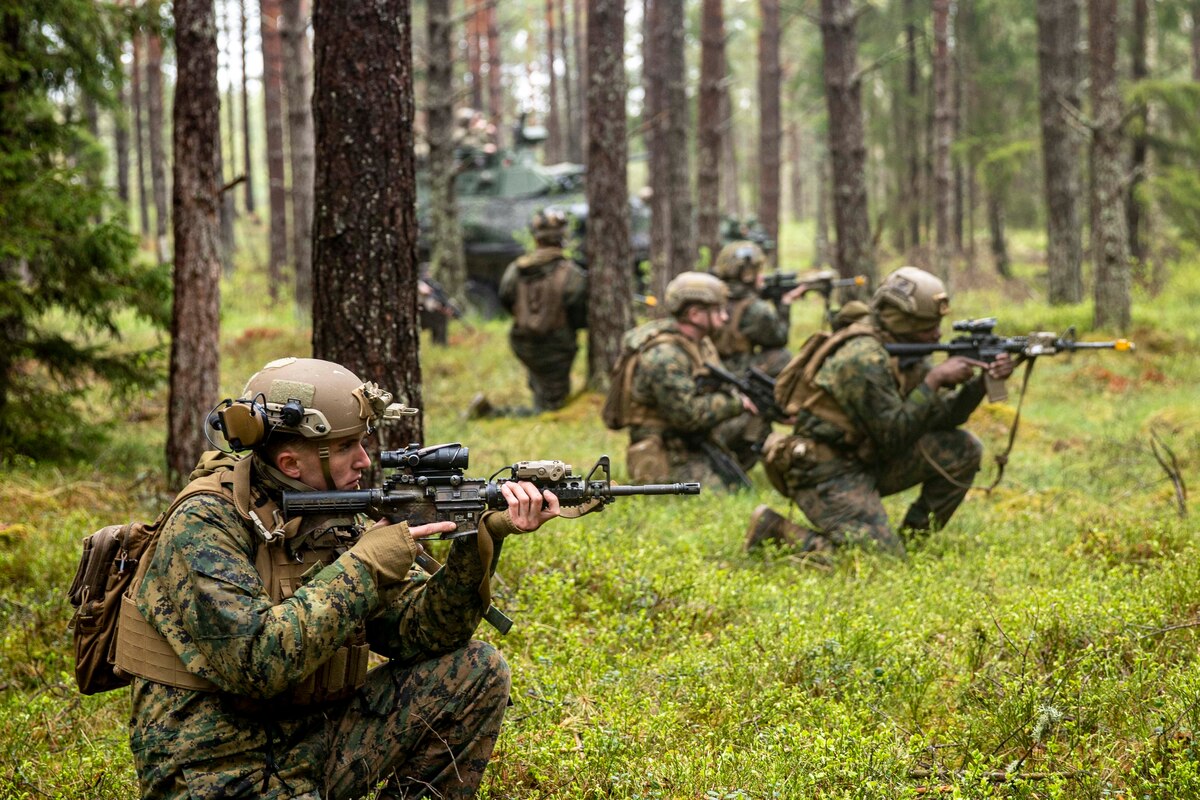 Uniformed service members kneel in a wooded area and aim rifles.