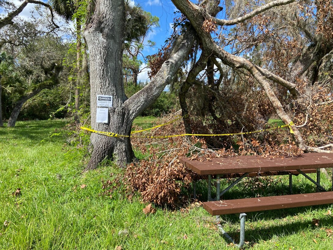 Large, downed tree at W.P. Franklin Lock and Dam recreational area, damaged during Hurricane Ian