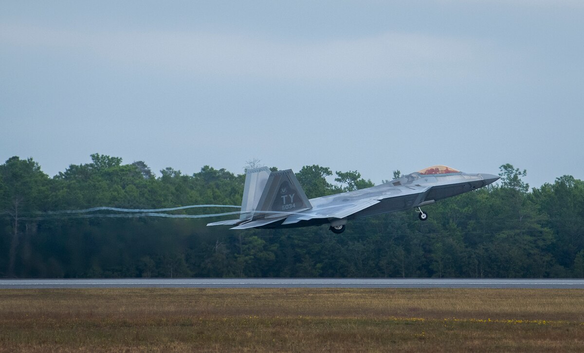 Raptor activity