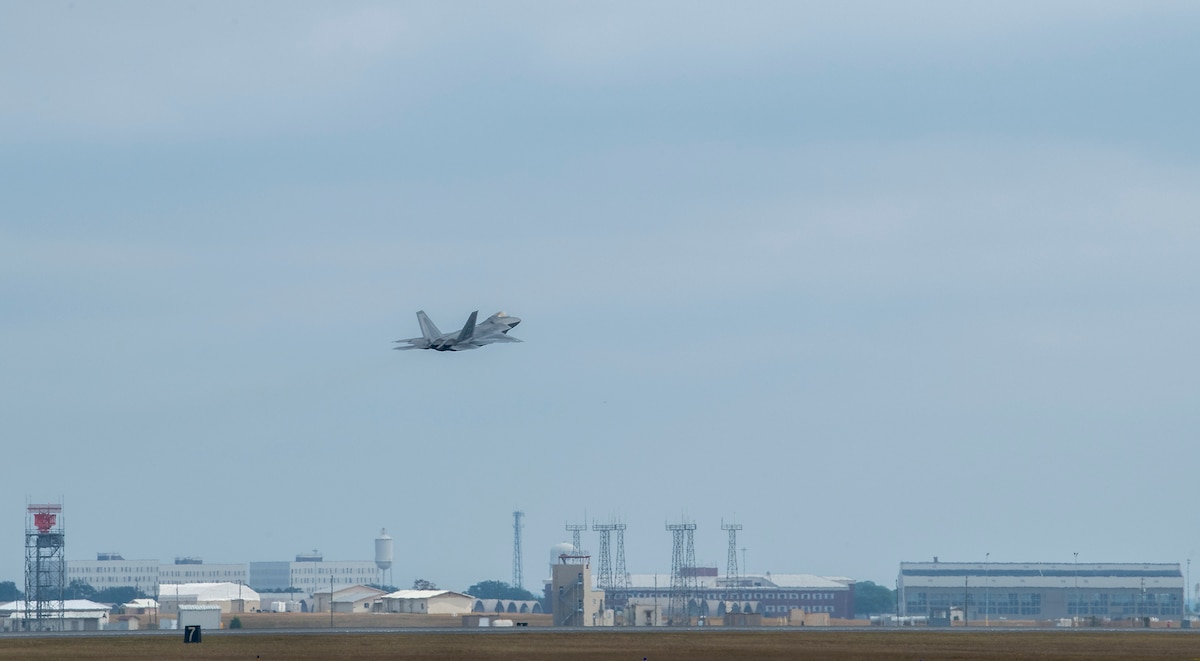 Raptor activity