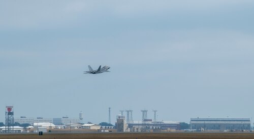 Raptor activity