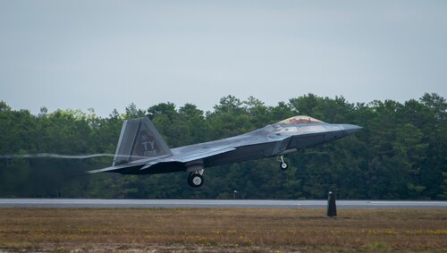 Raptor activity