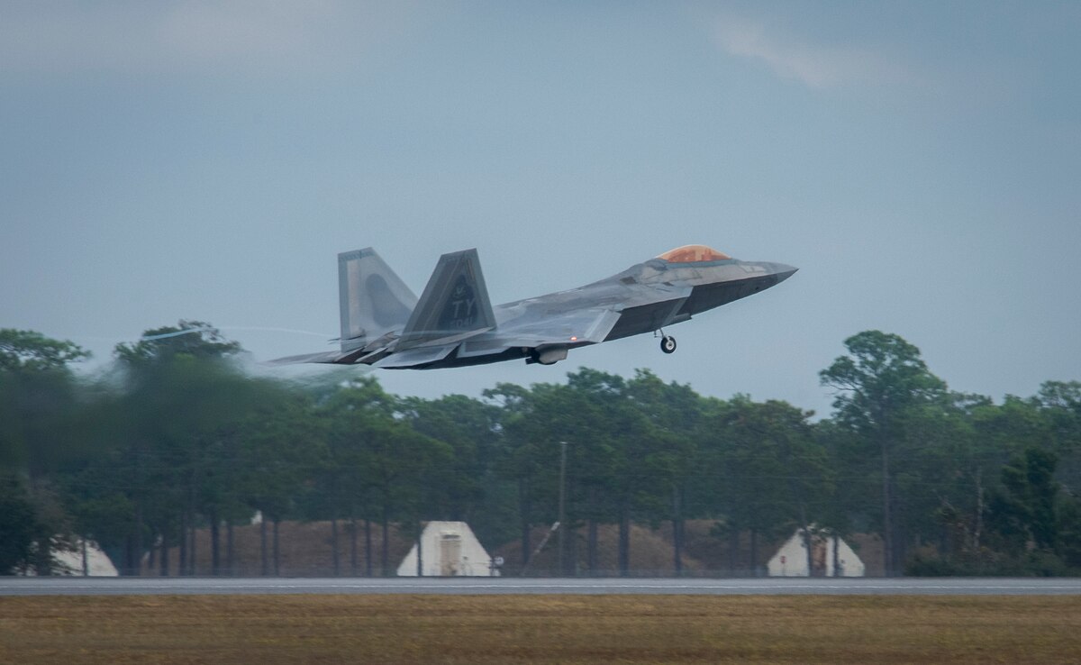 Raptor activity