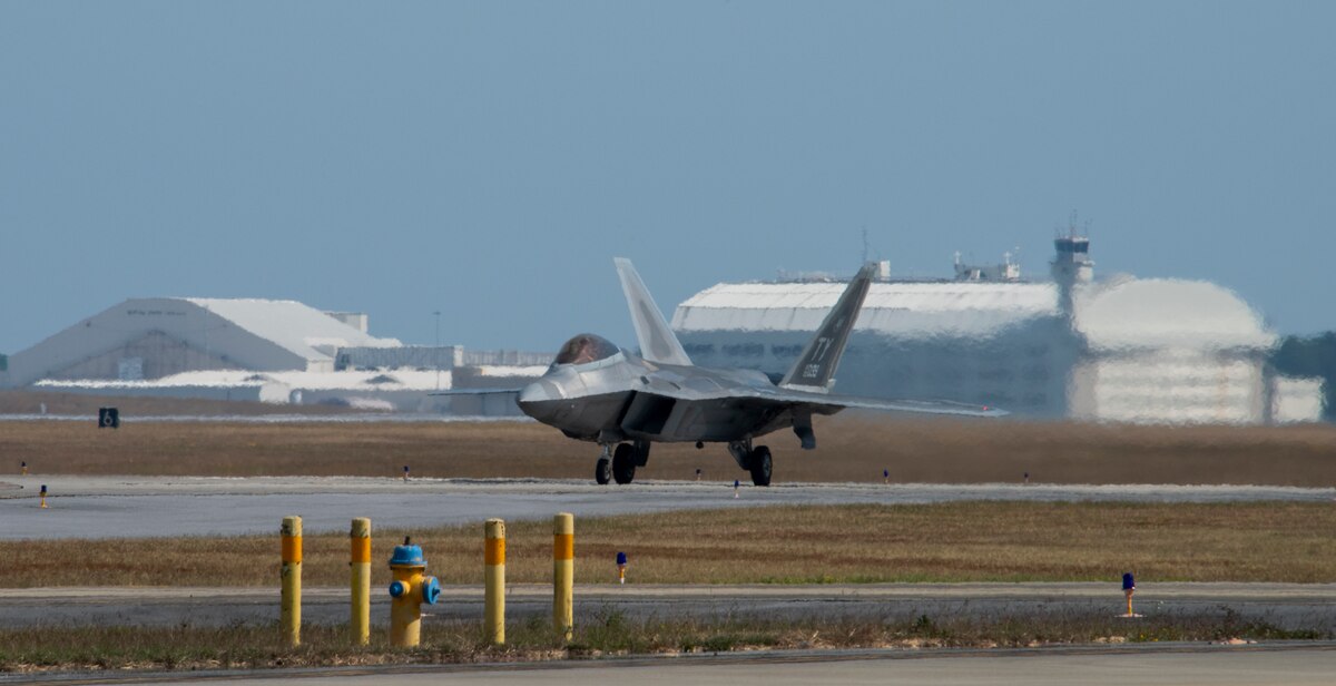 Raptor activity