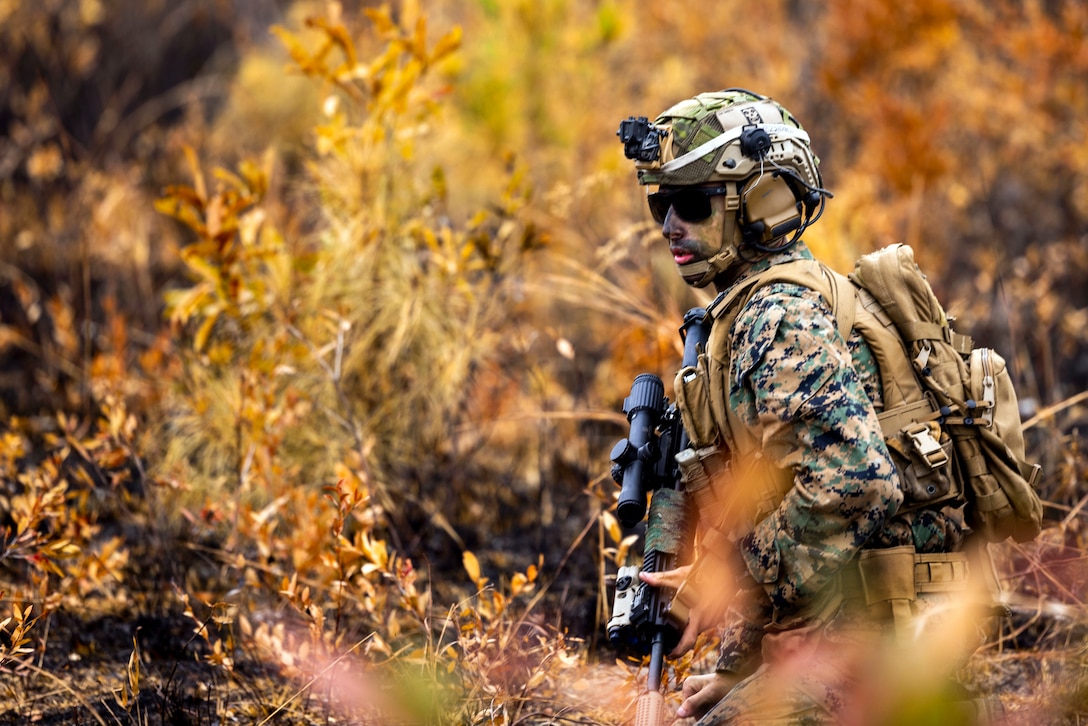 A Marine provides security in a wooded area, surrounded by fall colors.