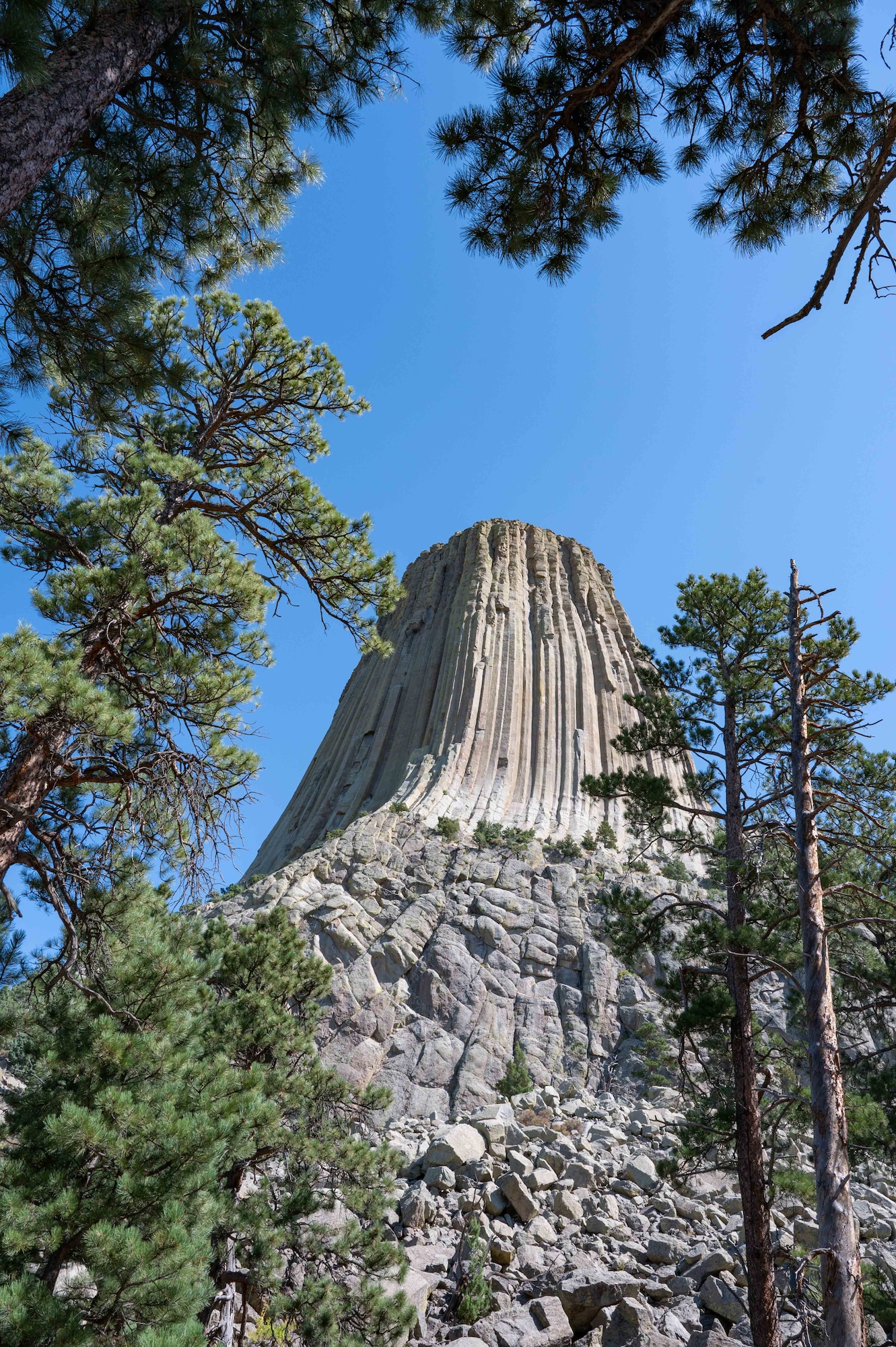 Devils Tower National Monument