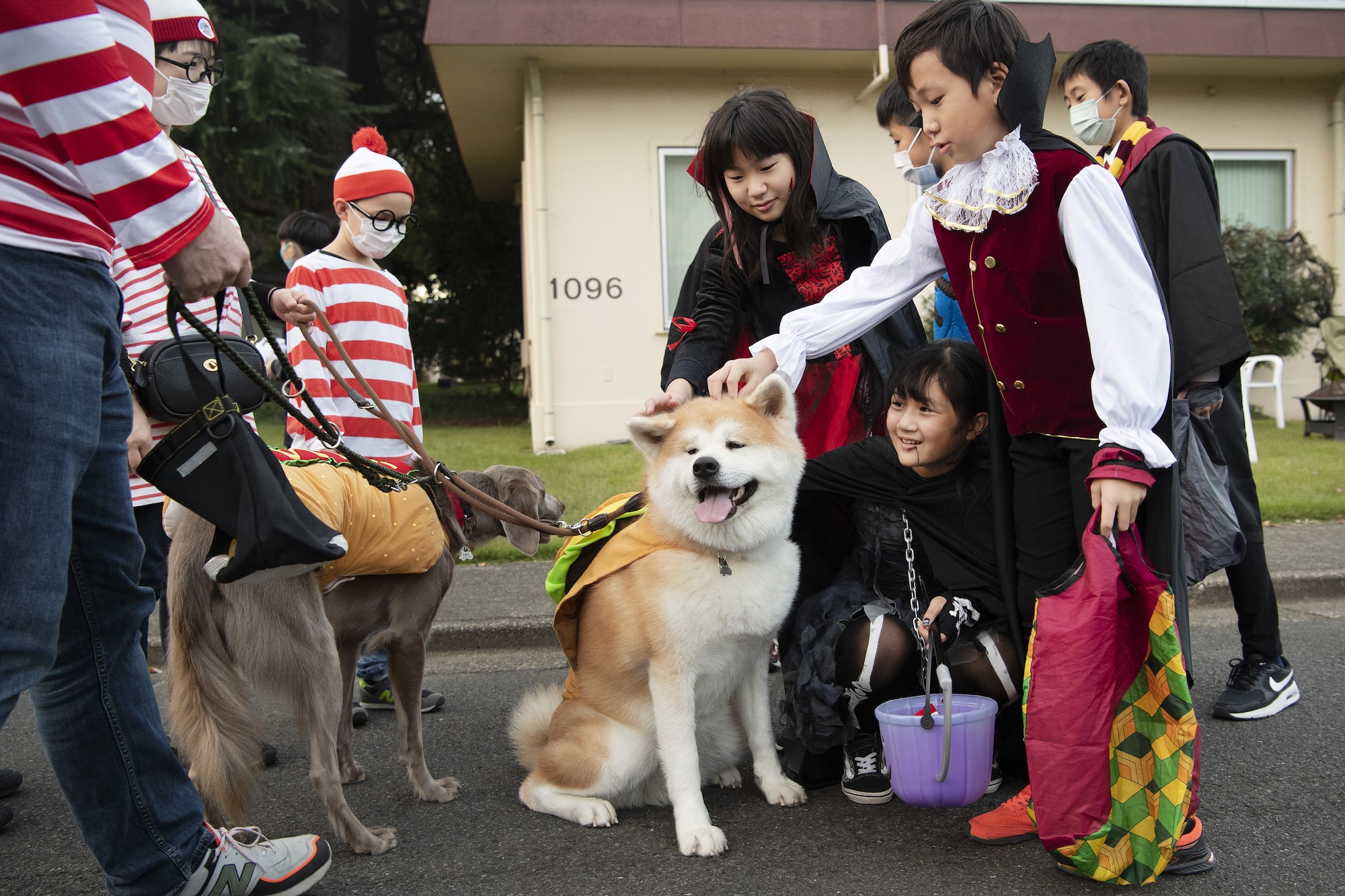 Children pet a dog wearing a hot dog costume during trick-or-treating at Yokota Air Base, Japan, Oct. 29, 2022. This year, members of the base were able to sponsor up to ten visitors onto base for trick-or-treating. Activities like trick-or-treating give Yokota personnel, families, and friends on and off base an opportunity to celebrate the holiday, enjoy an evening of Halloween activities, and strengthen ties between the U.S. and Japan. (U.S. Air Force photo by Tech. Sgt. Christopher Hubenthal)
