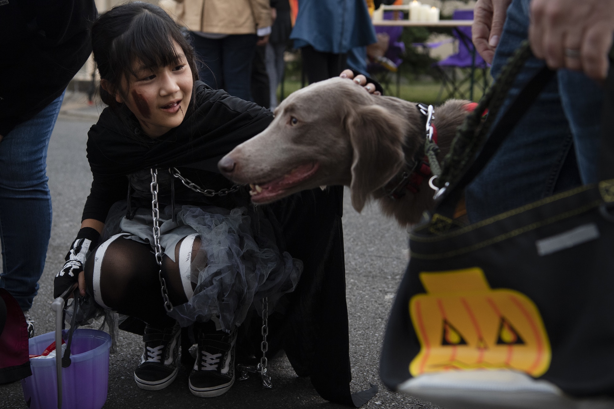 Saaya Kobayashi, trick-or-treater, pets a dog during trick-or-treating at Yokota Air Base, Japan, Oct. 29, 2022. This year, members of the base were able to sponsor up to ten visitors onto base for trick-or-treating. Celebrating holidays like Halloween is an opportunity for members of Yokota Air Base to enjoy some time with family and friends from the base and Japanese local community. (U.S. Air Force photo by Tech. Sgt. Christopher Hubenthal)