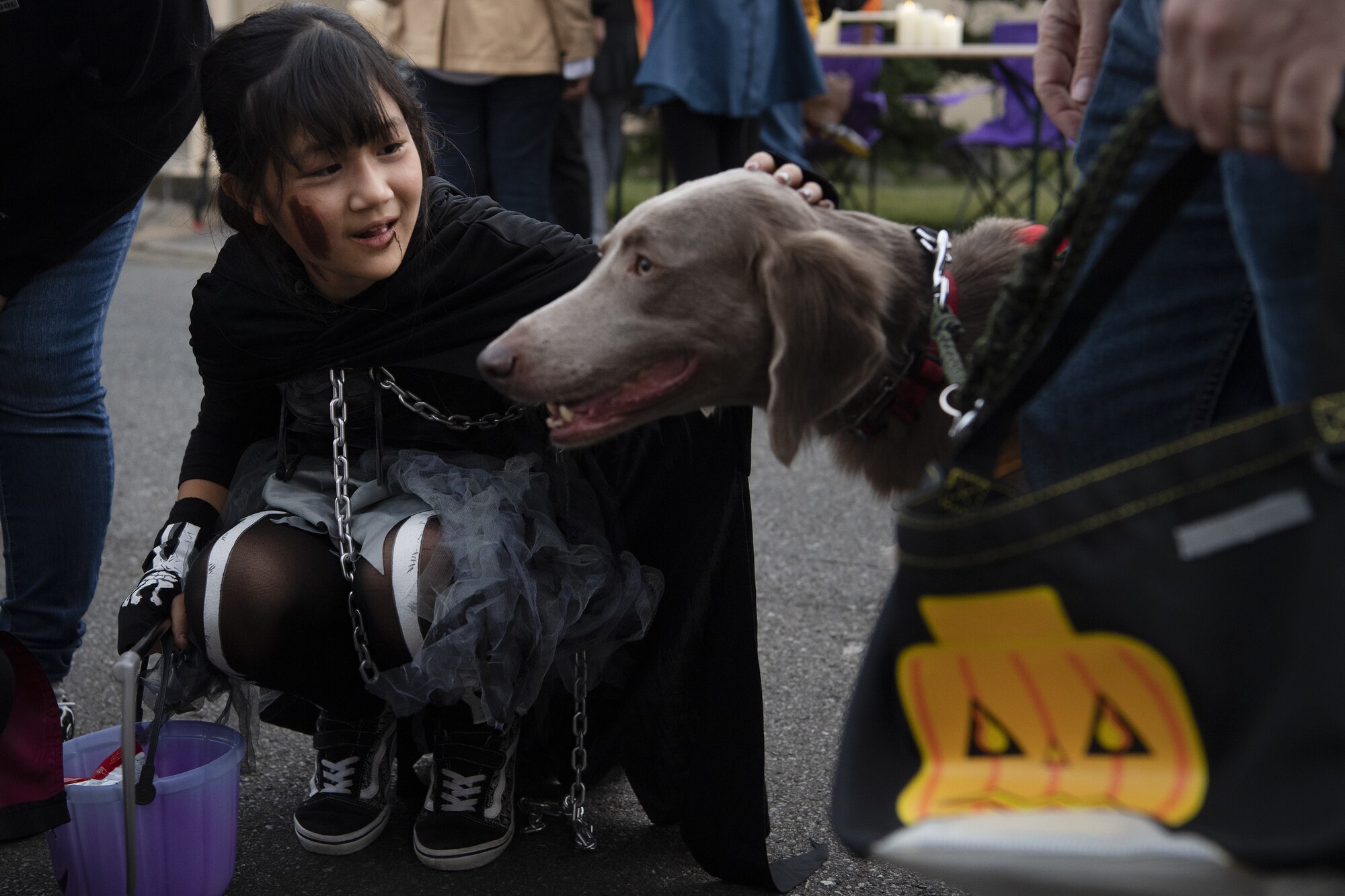 Saaya Kobayashi, trick-or-treater, pets a dog during trick-or-treating at Yokota Air Base, Japan, Oct. 29, 2022. This year, members of the base were able to sponsor up to ten visitors onto base for trick-or-treating. Celebrating holidays like Halloween is an opportunity for members of Yokota Air Base to enjoy some time with family and friends from the base and Japanese local community. (U.S. Air Force photo by Tech. Sgt. Christopher Hubenthal)