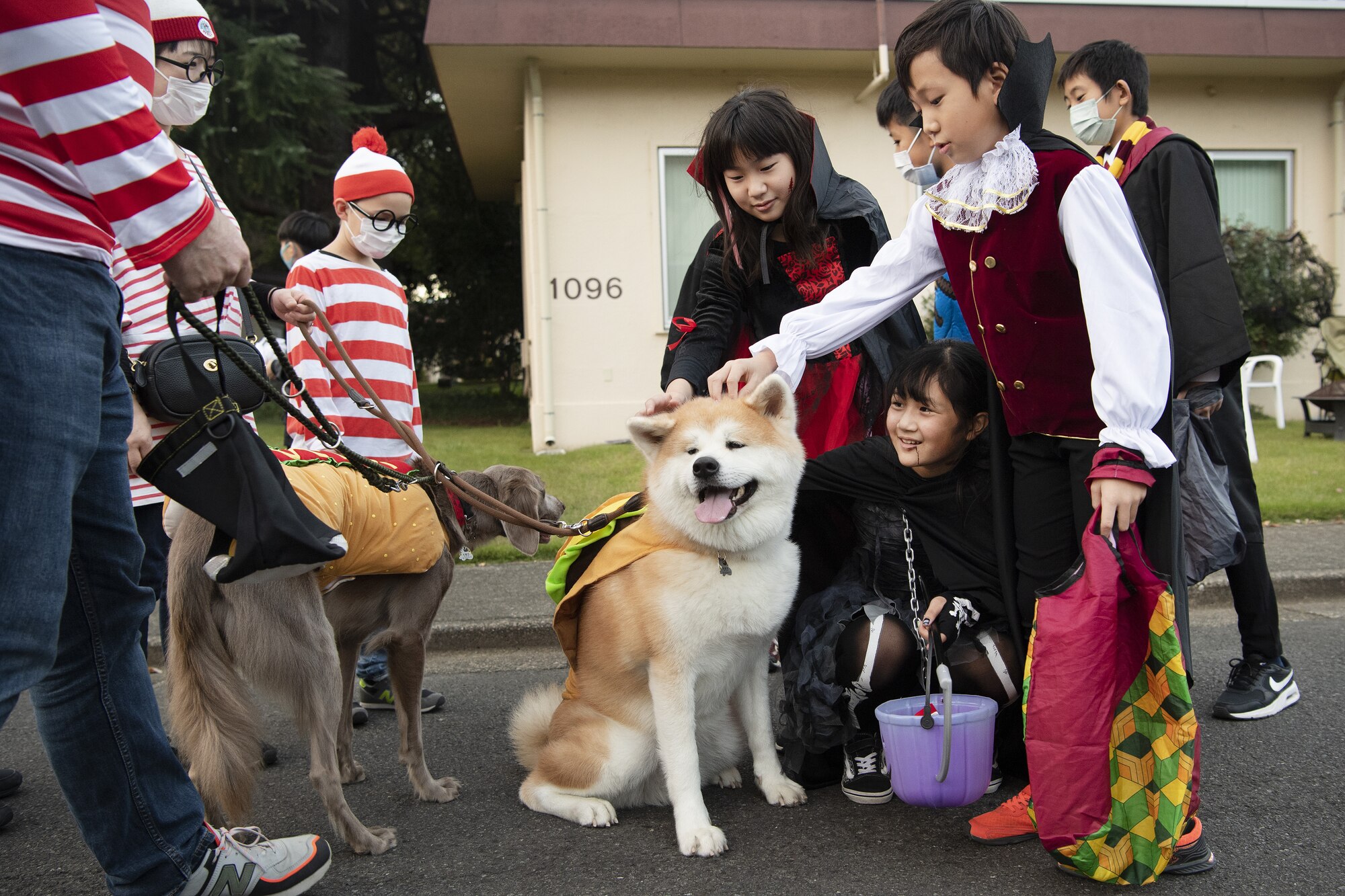 Children pet a dog wearing a hot dog costume during trick-or-treating at Yokota Air Base, Japan, Oct. 29, 2022. This year, members of the base were able to sponsor up to ten visitors onto base for trick-or-treating. Activities like trick-or-treating give Yokota personnel, families, and friends on and off base an opportunity to celebrate the holiday, enjoy an evening of Halloween activities, and strengthen ties between the U.S. and Japan. (U.S. Air Force photo by Tech. Sgt. Christopher Hubenthal)