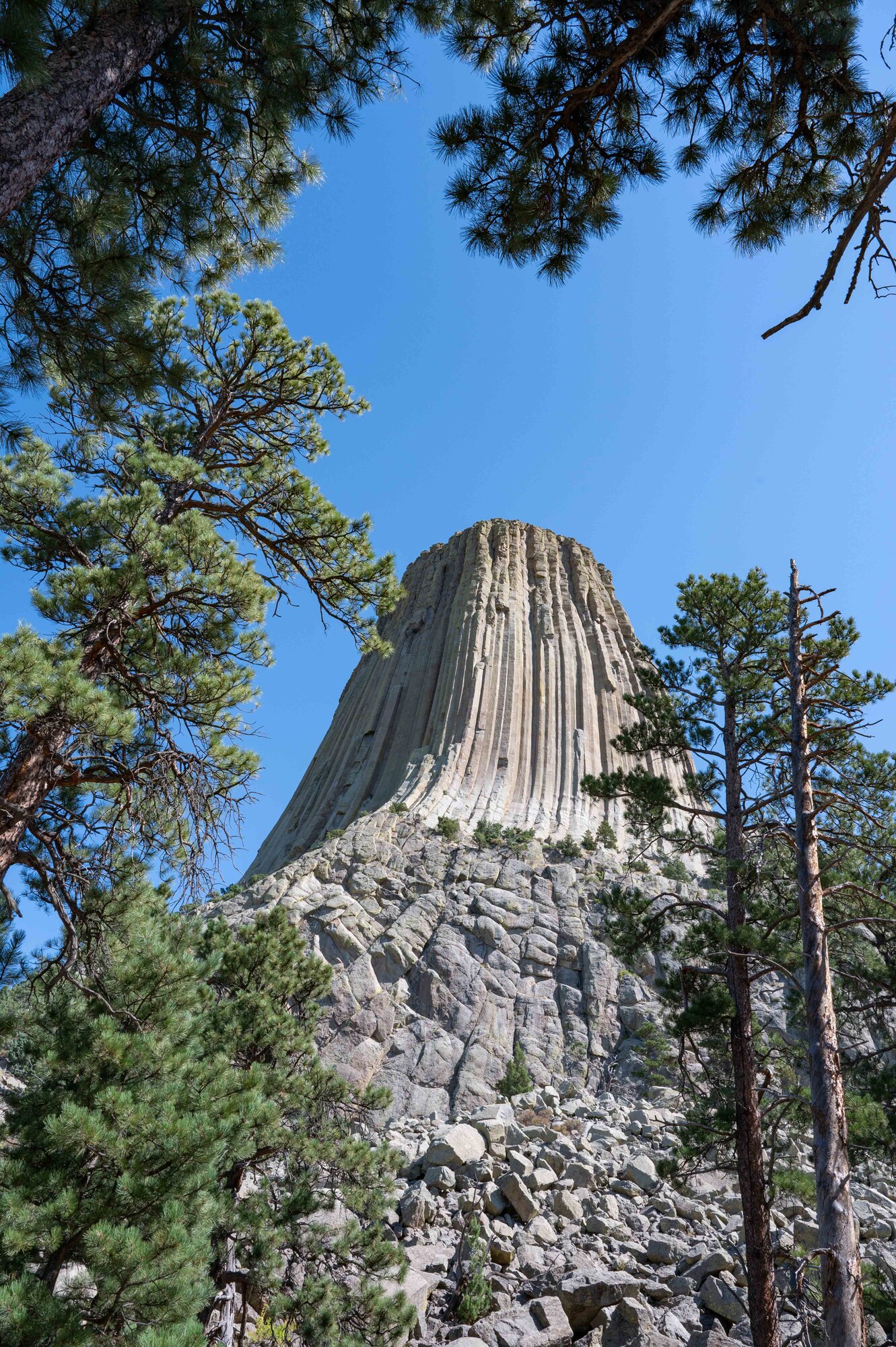 Devils Tower National Monument