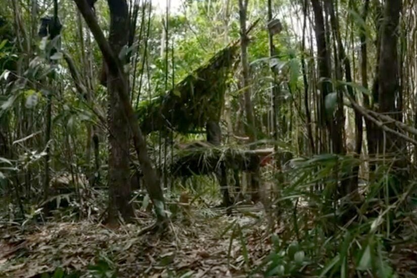 A screenshot of a jungle.
