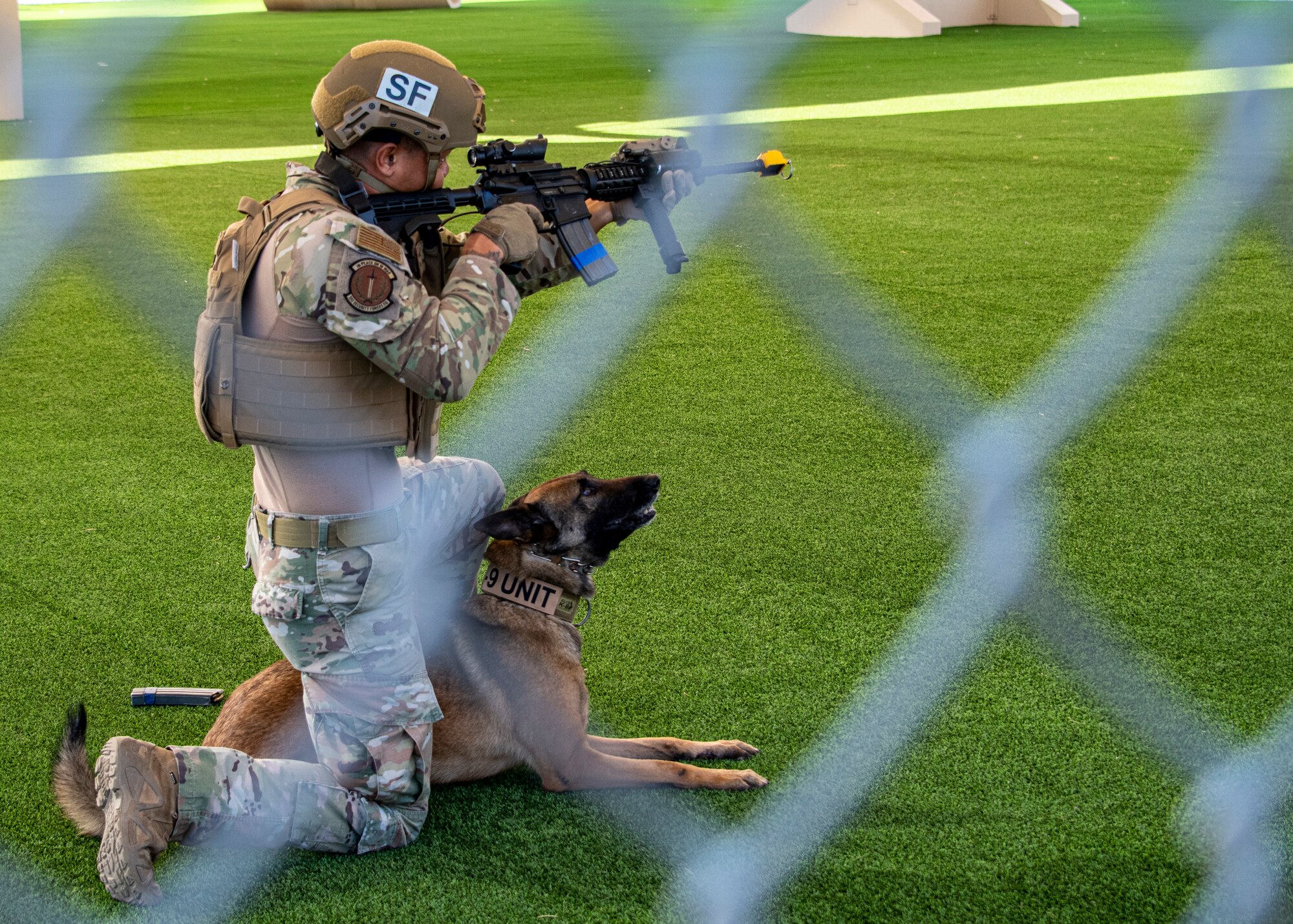 Military working dog completes training