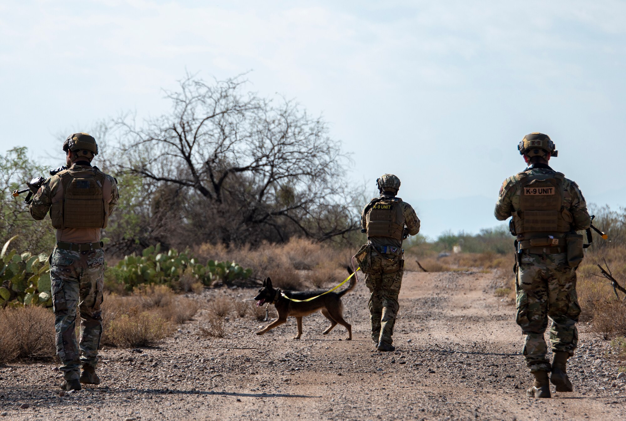 Military working dog completes training