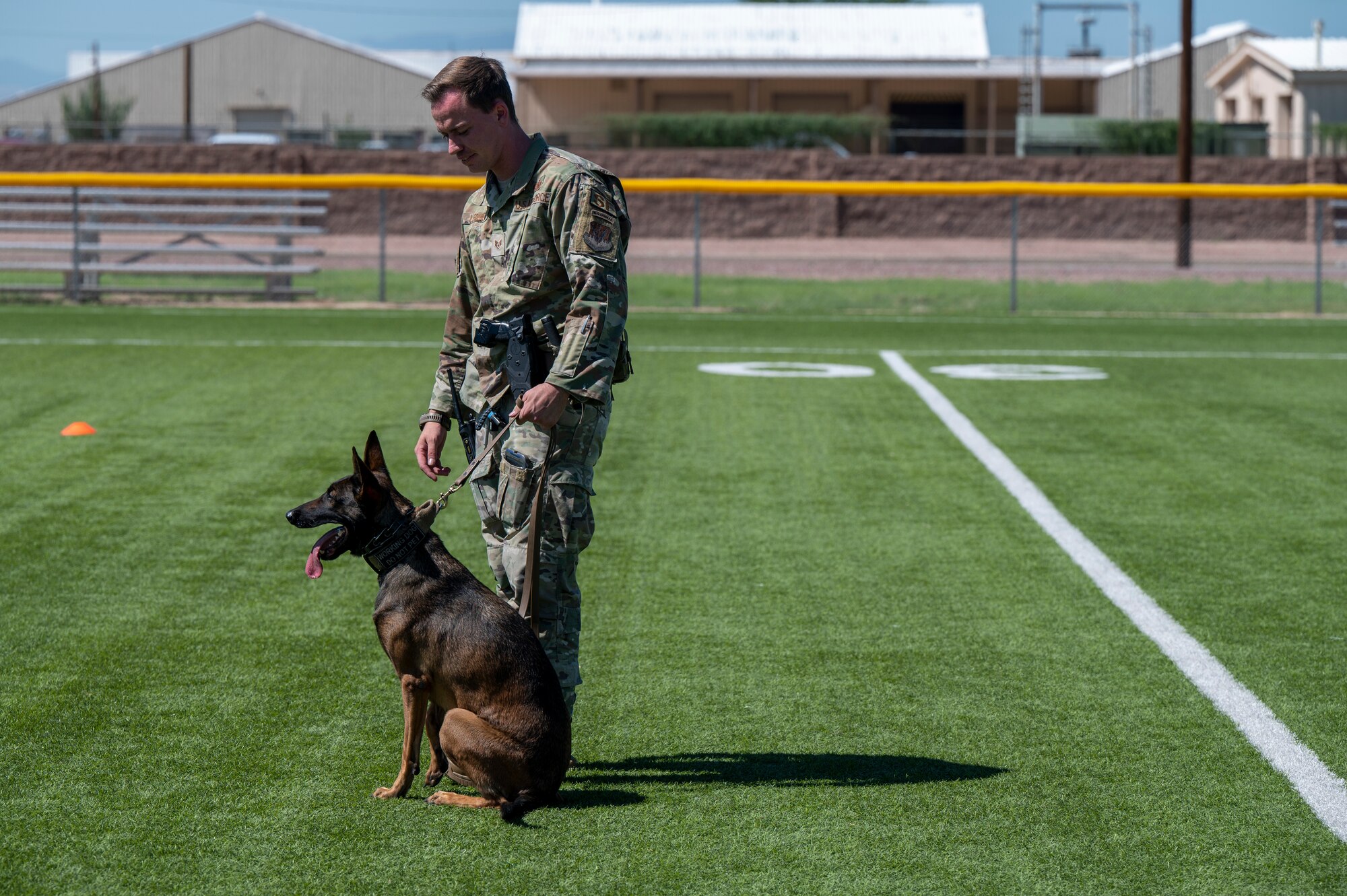 Military Working Dog rests after training