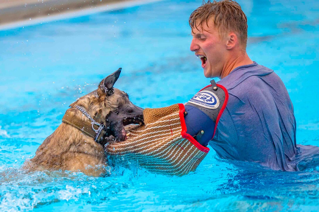 A dog bites the arm of an airman who is wearing a protective sleeve while in a pool.