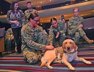 JOINT EXPEDITIONARY BASE LITTLE CREEK FORT STORY, VIRGINIA BEACH, VA (August 18, 2022) U.S. Navy Sailors and staff, attached to JOINT EXPEDITIONARY BASE LITTLE CREEK FORT STORY (JEBLCFS), interact with "Patty Mac", a facility dog, during a Professional development (PRODEV) training onboard Joint Expeditionary Base Little Creek Fort Story. (U.S. Navy photo by Mass Communication Specialist 1st Class Marlon Goodchild)