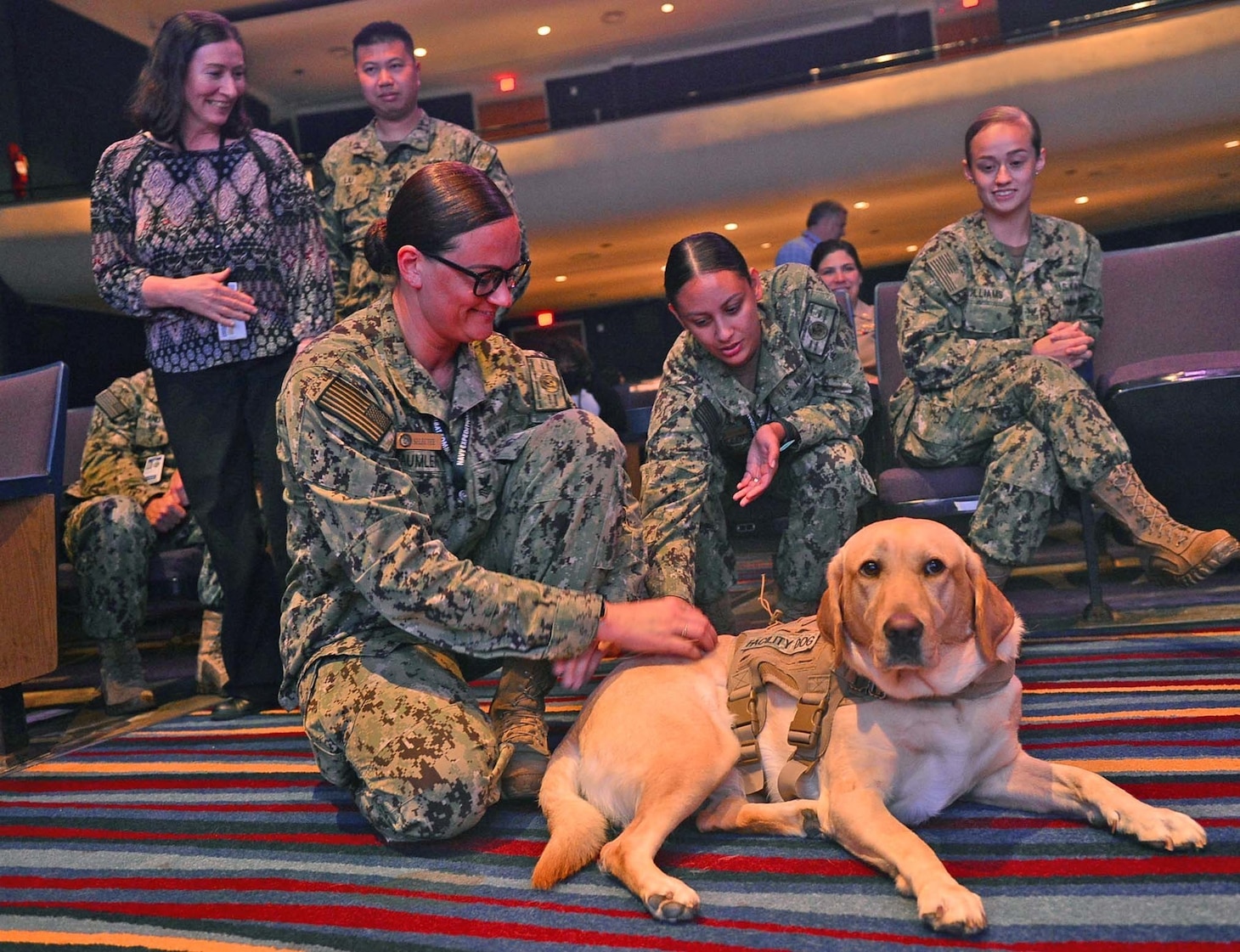 JOINT EXPEDITIONARY BASE LITTLE CREEK FORT STORY, VIRGINIA BEACH, VA (August 18, 2022) U.S. Navy Sailors and staff, attached to JOINT EXPEDITIONARY BASE LITTLE CREEK FORT STORY (JEBLCFS), interact with "Patty Mac", a facility dog, during a Professional development (PRODEV) training onboard Joint Expeditionary Base Little Creek Fort Story. (U.S. Navy photo by Mass Communication Specialist 1st Class Marlon Goodchild)