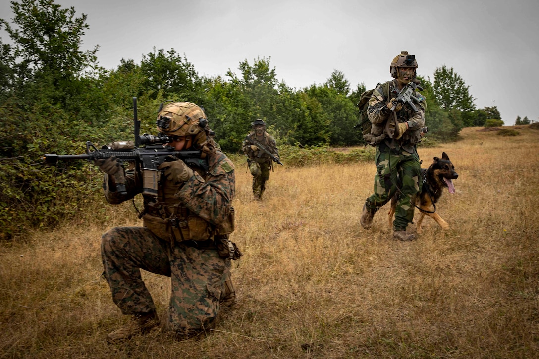 U.S. Marine Corps Sgt. Anthony T. Ruiz, a squad leader with Echo Company, Battalion Landing Team 2/6, 22nd Marine Expeditionary Unit (MEU), and Swedish Air Force Rangers cross a simulated danger area during  Tactical Recovery of Aircraft Personnel training near Kristianstad, Sweden, Aug. 26, 2022. The Kearsarge Amphibious Ready Group and 22nd MEU, under the command and control of Task Force 61/2, is on a scheduled deployment in the U.S. Naval Forces Europe area of operations, employed by U.S. Sixth Fleet to defend U.S., allied and partner interests. (U.S. Marine Corps photo by Sgt. Armando Elizalde)