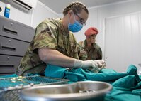 Civil affairs veterinarian participates in Exercise Shared Accord 22 in South Africa