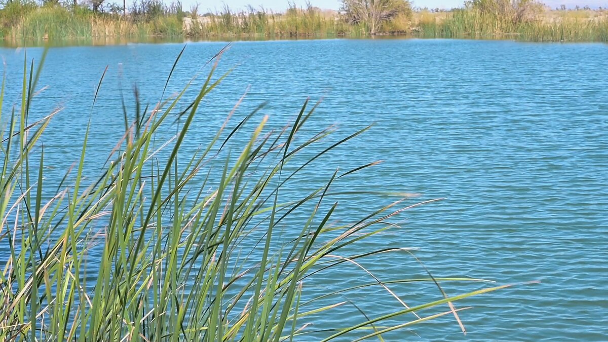 Branch Pond on Edwards Air Force Base gets stocked with hundreds of fish for the fall fishing season. If you have a fishing license and have base access, you can come out and enjoy this unique Edwards gem.