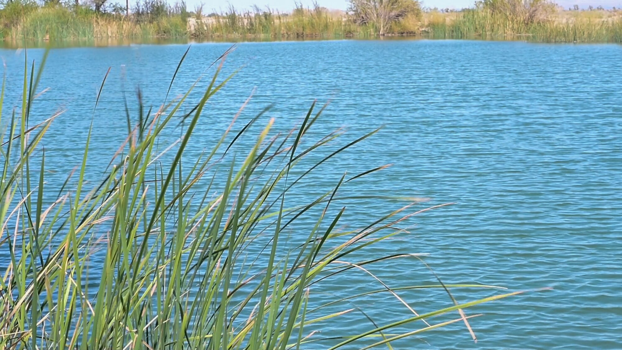 If you have a fishing license and have base access, you can come out and enjoy this unique Edwards gem.