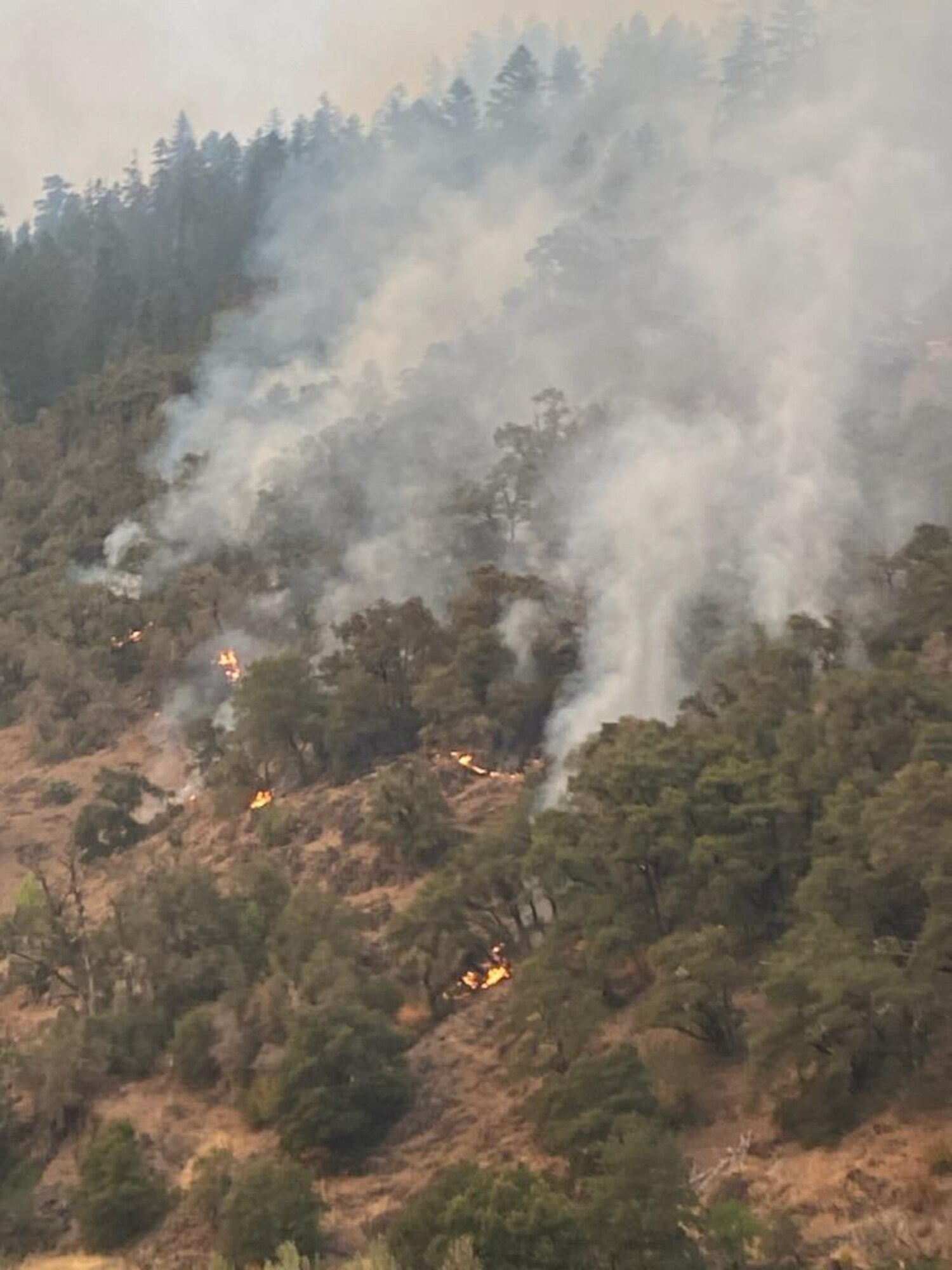 Rum Creek Fire