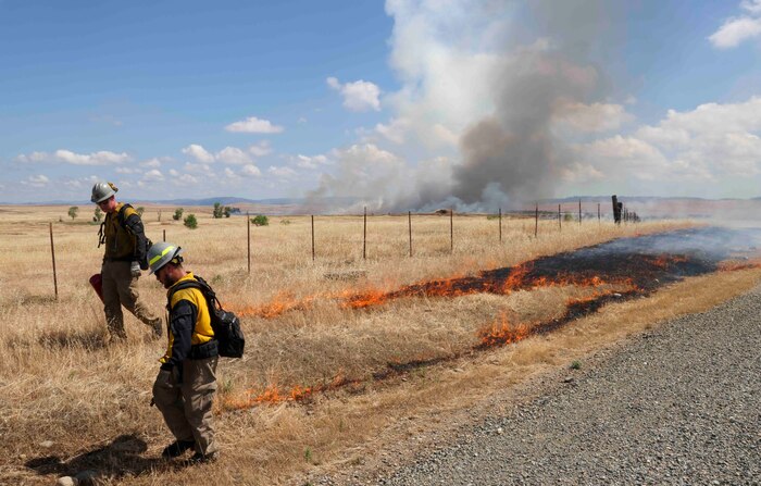 Crew members of the Air Force Civil Engineer Center Wildland Fire Support Module conduct a prescribed fire, also known as a controlled burn, on June 6th, 2022 at Beale Air Force Base, Calif.