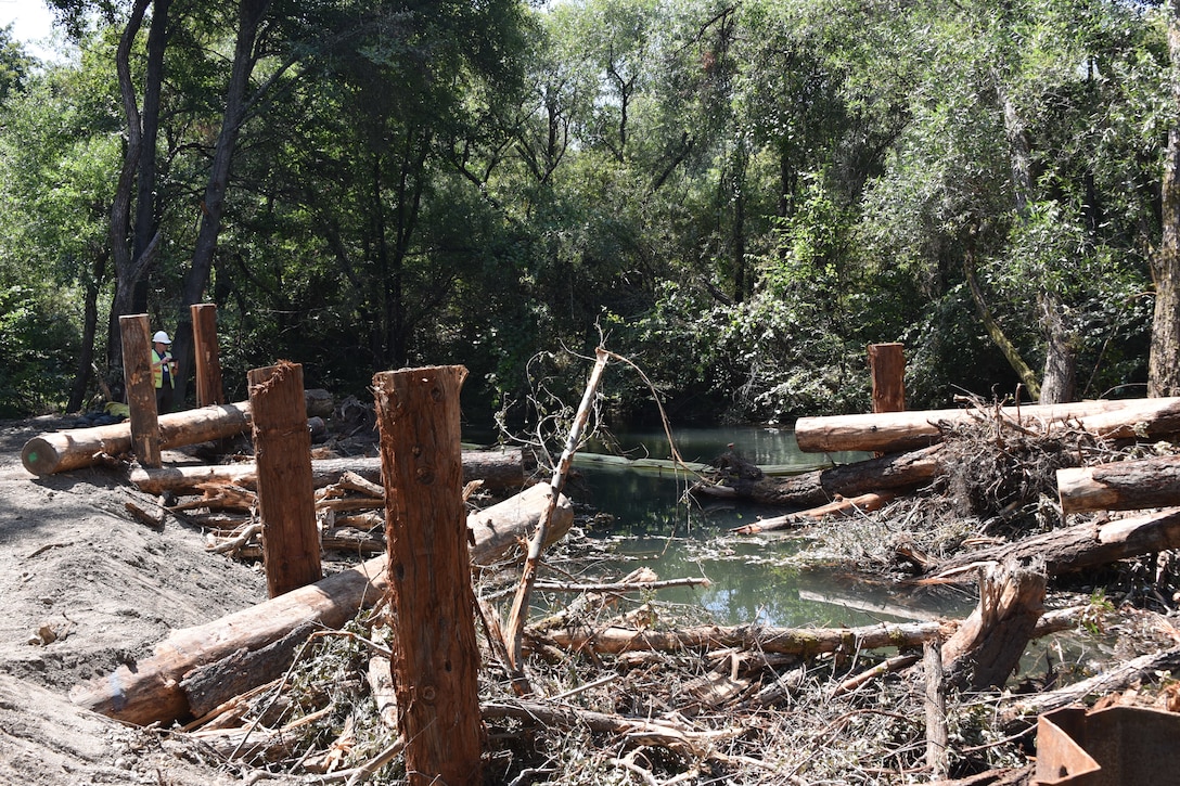 Logs, dirt and water