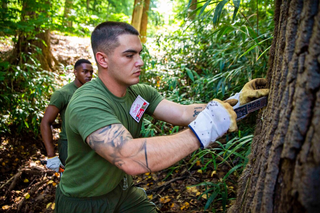 A Marine uses a tool on a tree as another Marine watches.
