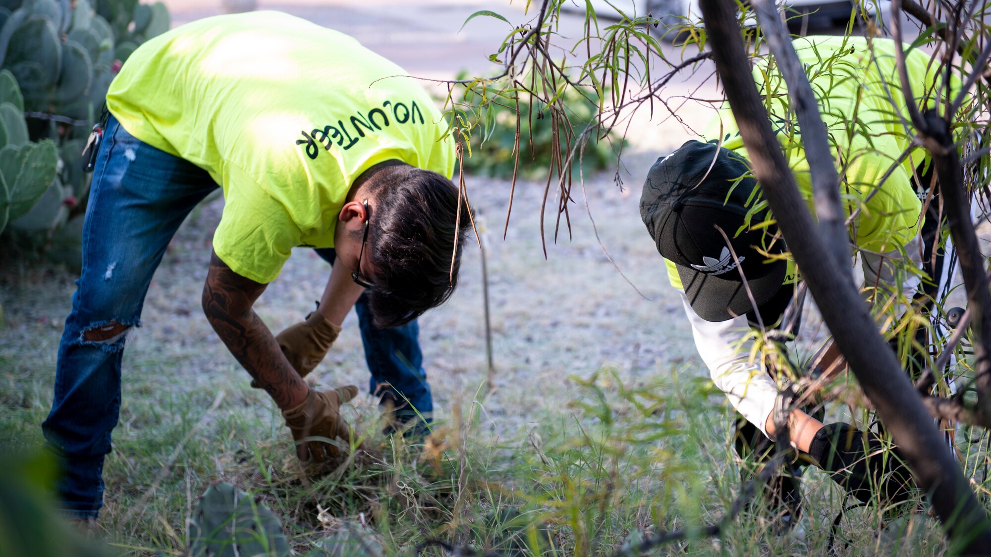 Two people in bright green volunteer shirts pull weeds out of the ground.