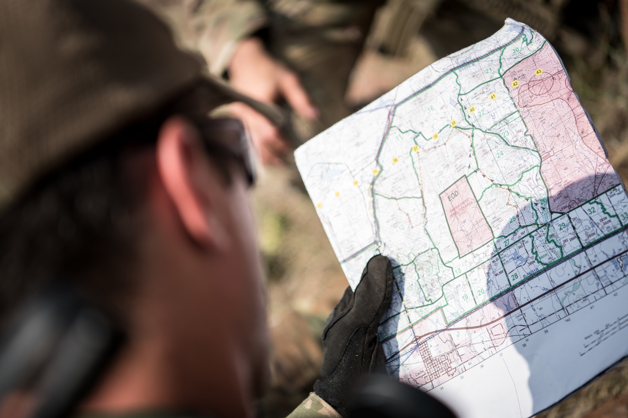 person reading map