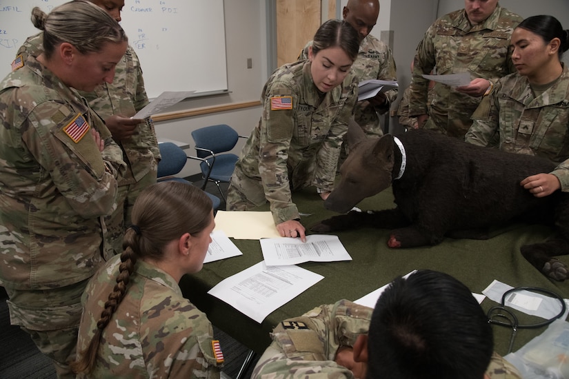 A uniformed servicemember points at a paper on a table next to a canine training dummy with a forearm missing, surrounded by seven onlookers.